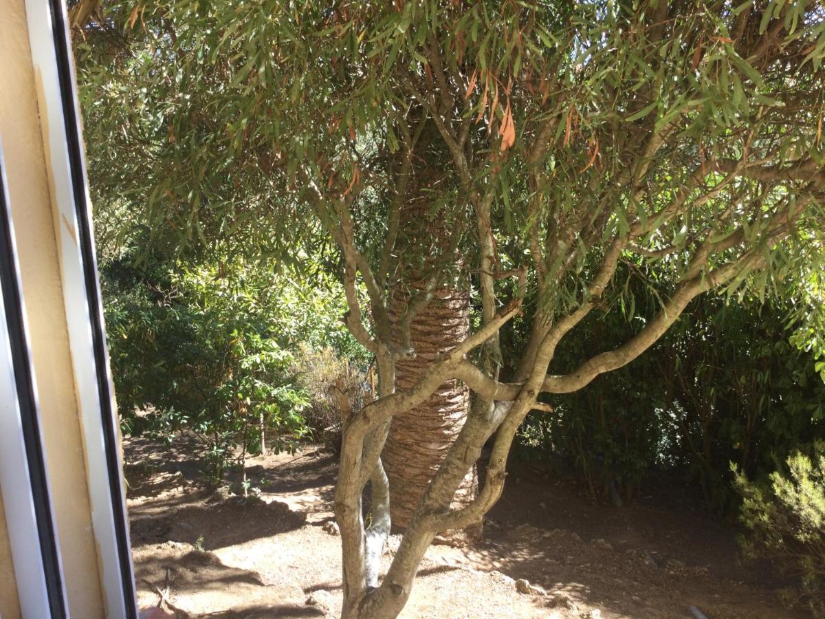 סנט-אגף Villa Macoran 2 Etoiles מראה חיצוני תמונה