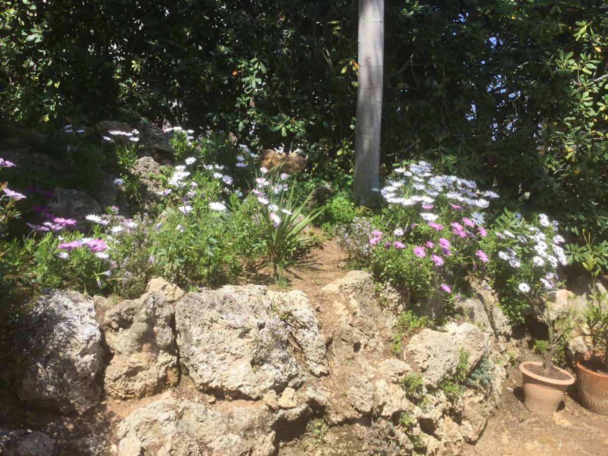 סנט-אגף Villa Macoran 2 Etoiles מראה חיצוני תמונה